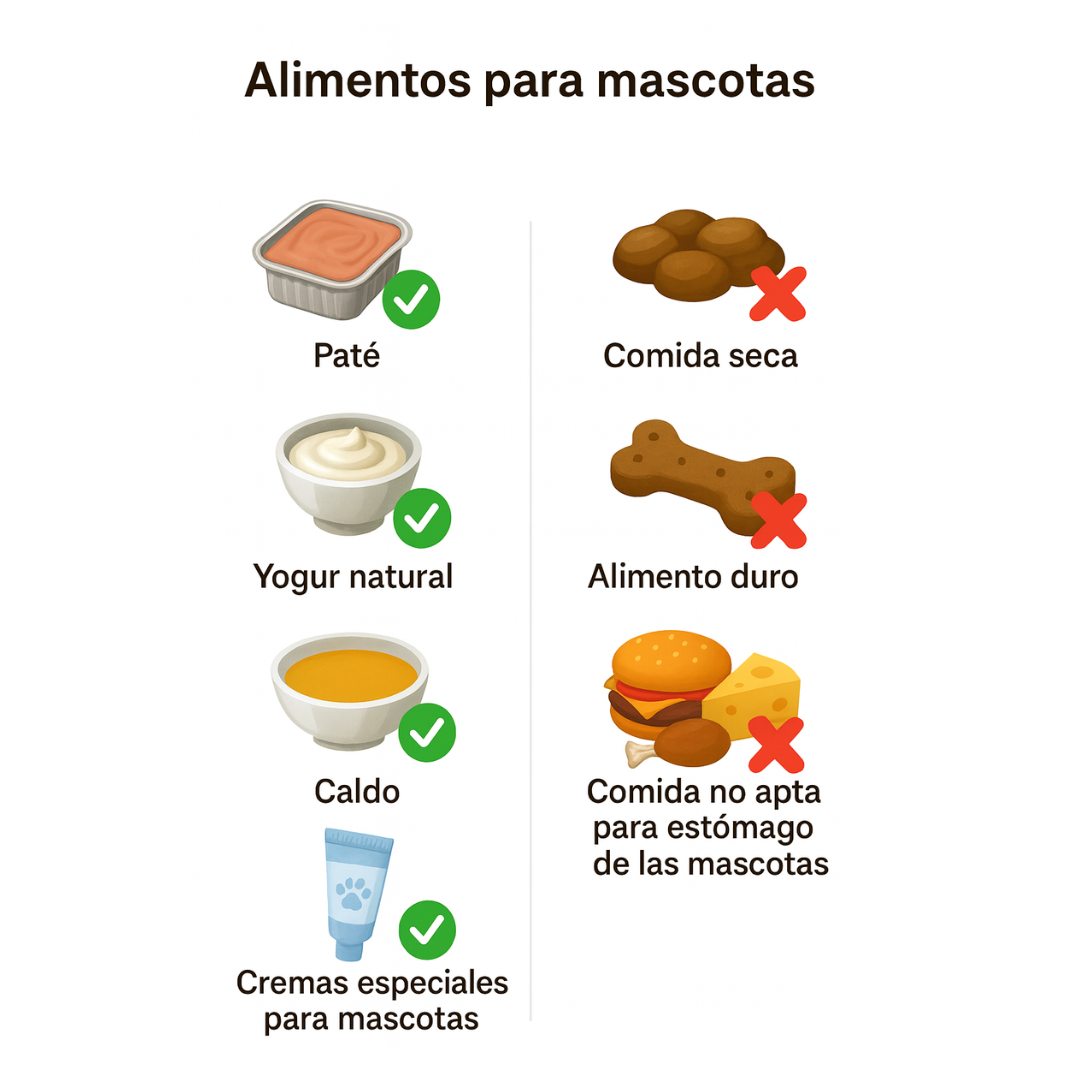 Comedero Sensorial Perros