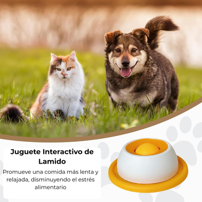 Comedero Sensorial Perros