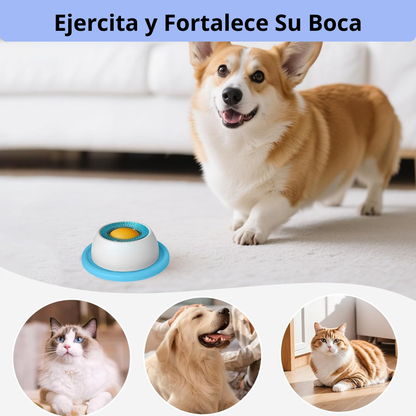 Comedero Sensorial Perros